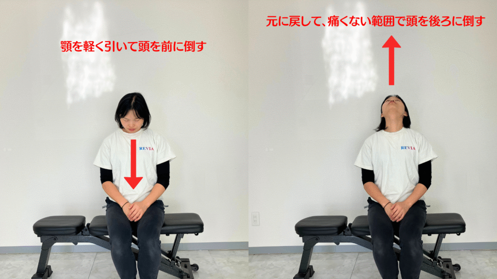 前庭覚リセットエクササイズ（首を前後に倒す）